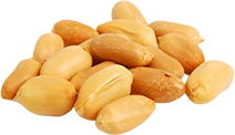 Blanched Peanut